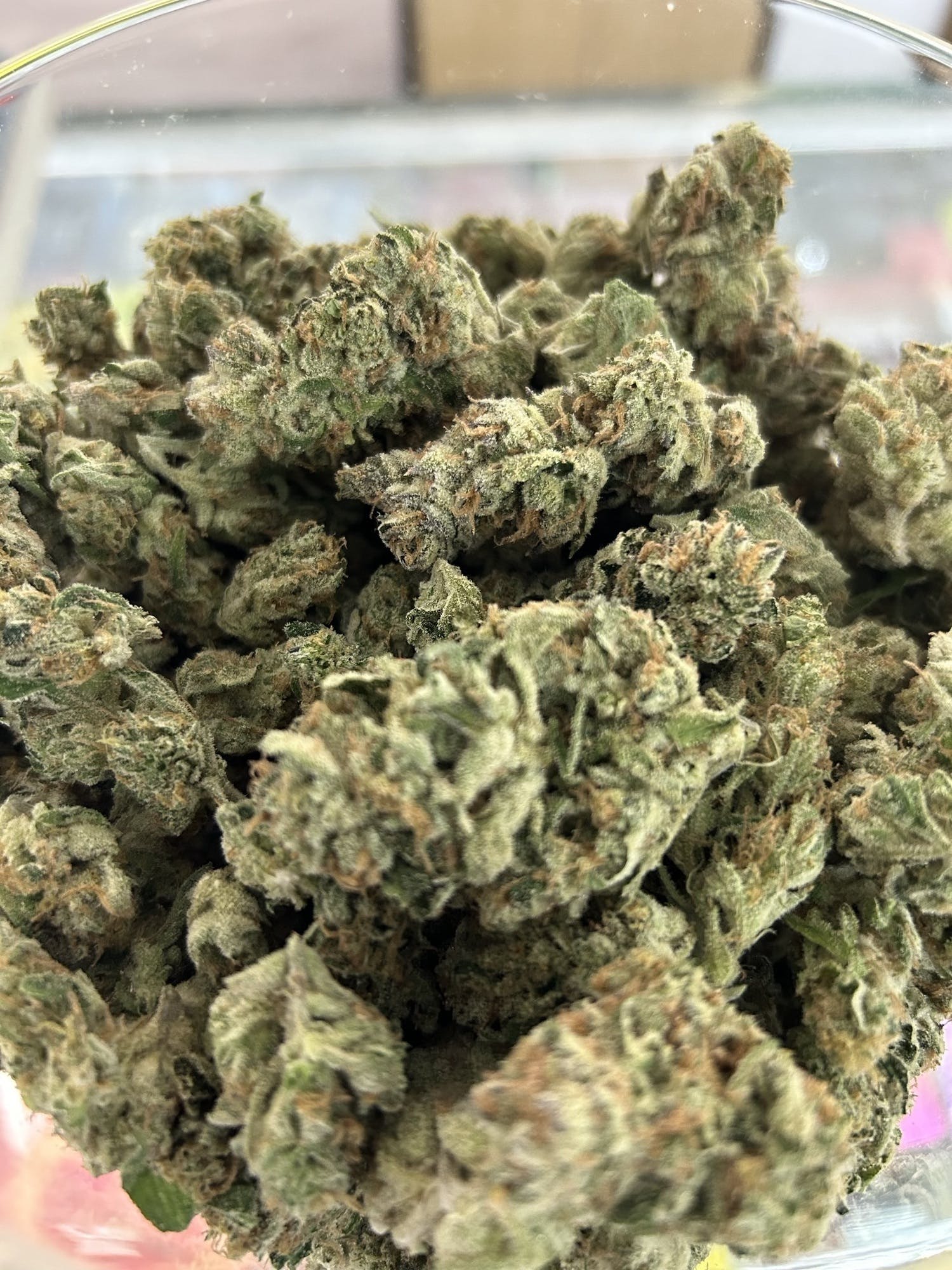 Photograph of product: Bear Berry