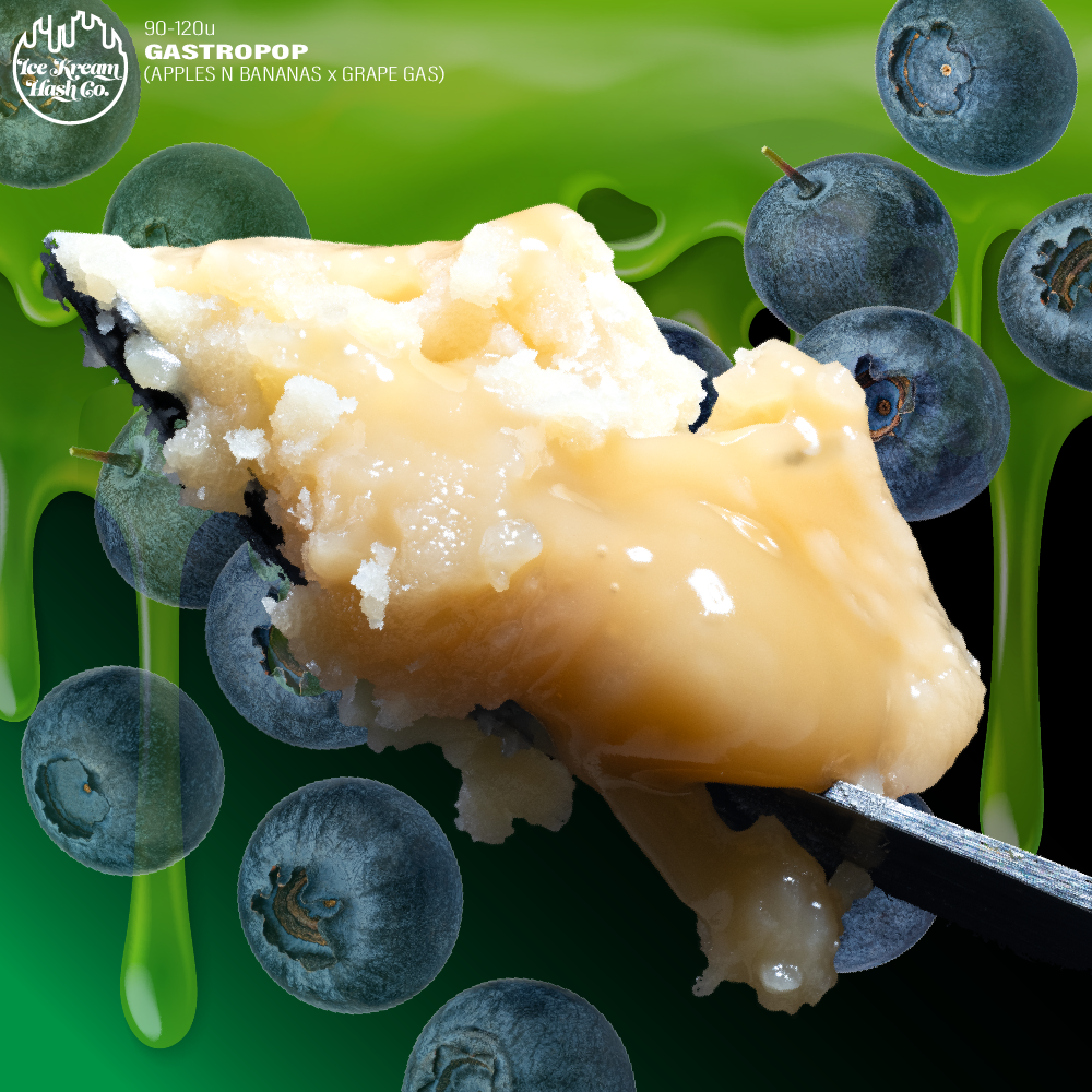 Photograph of product: 1G GASTROPOP LIVE ROSIN