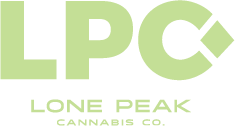 Photograph of product: LPC | Superglue | 3.5g