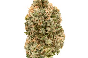 Photograph of product: 9 Pound Hammer - 3.5g