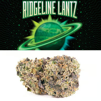 Photograph of product: Cookies - Flower Tub - (I) - Ridgeline Lantz - 3.5g