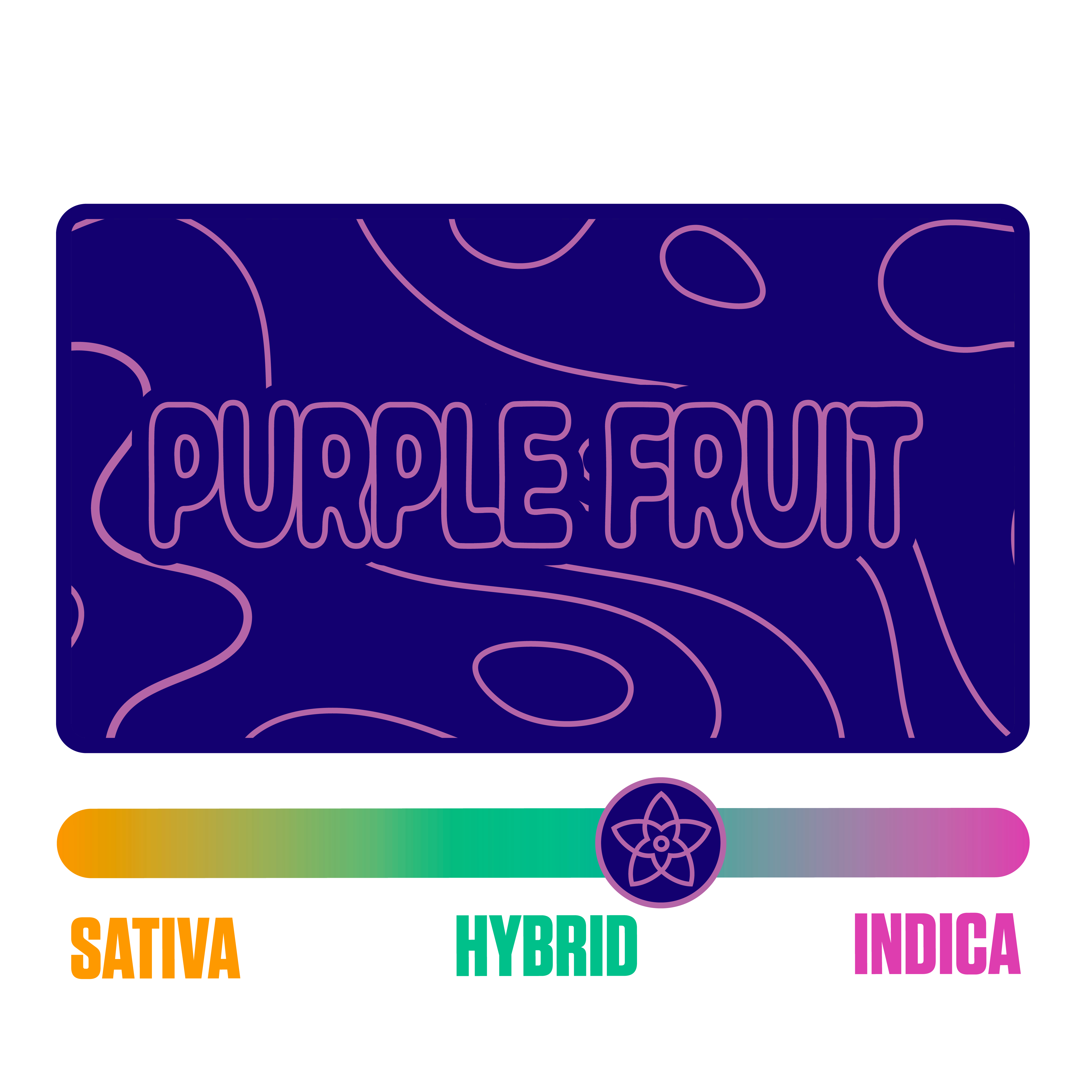 Photograph of product: The Flower Collective - Purple Fruit (H) - 1g Full Spectrum Cold Cured Live Rosin