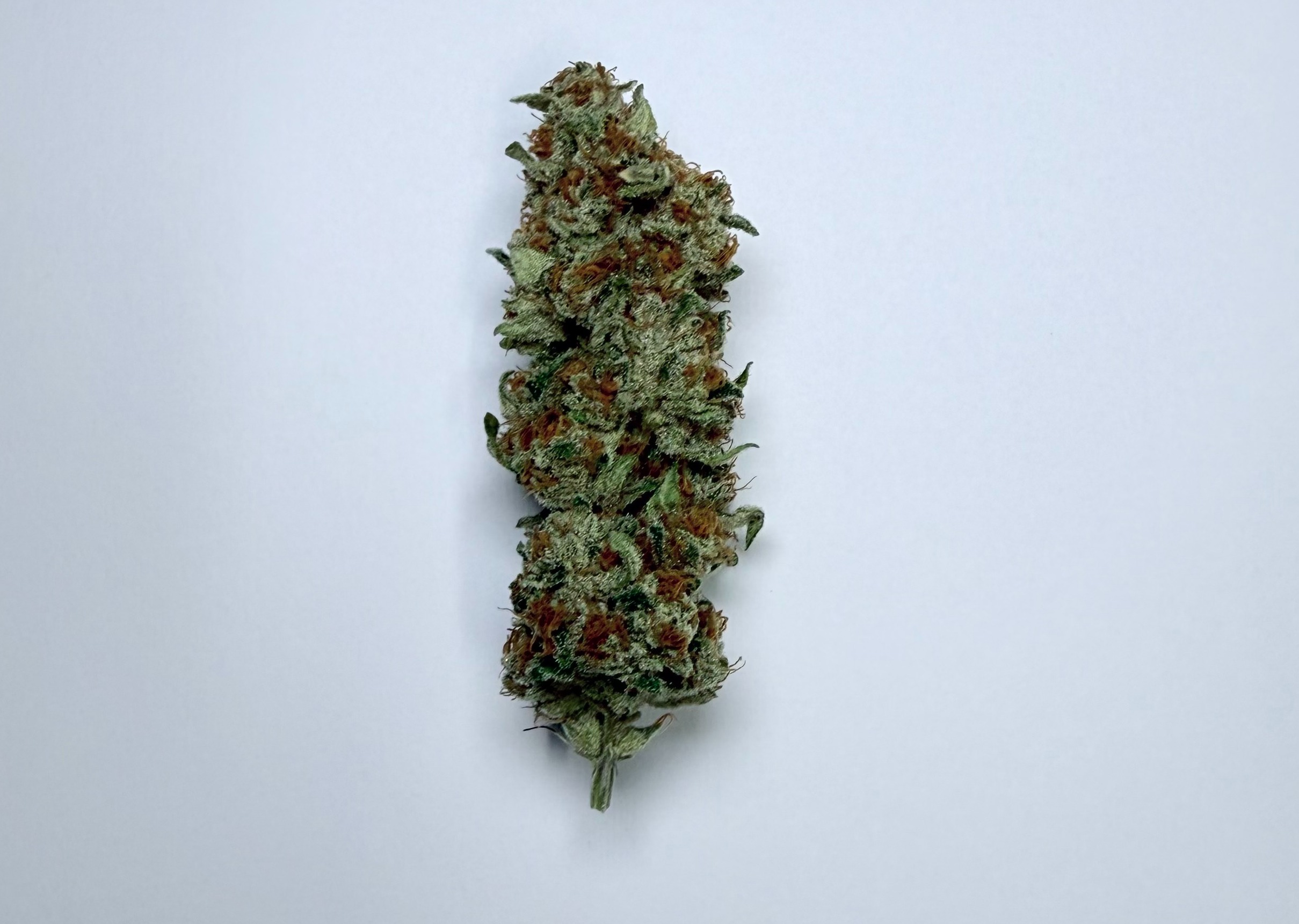Photograph of product: Popcorn - Tropic Sin - 3.54g