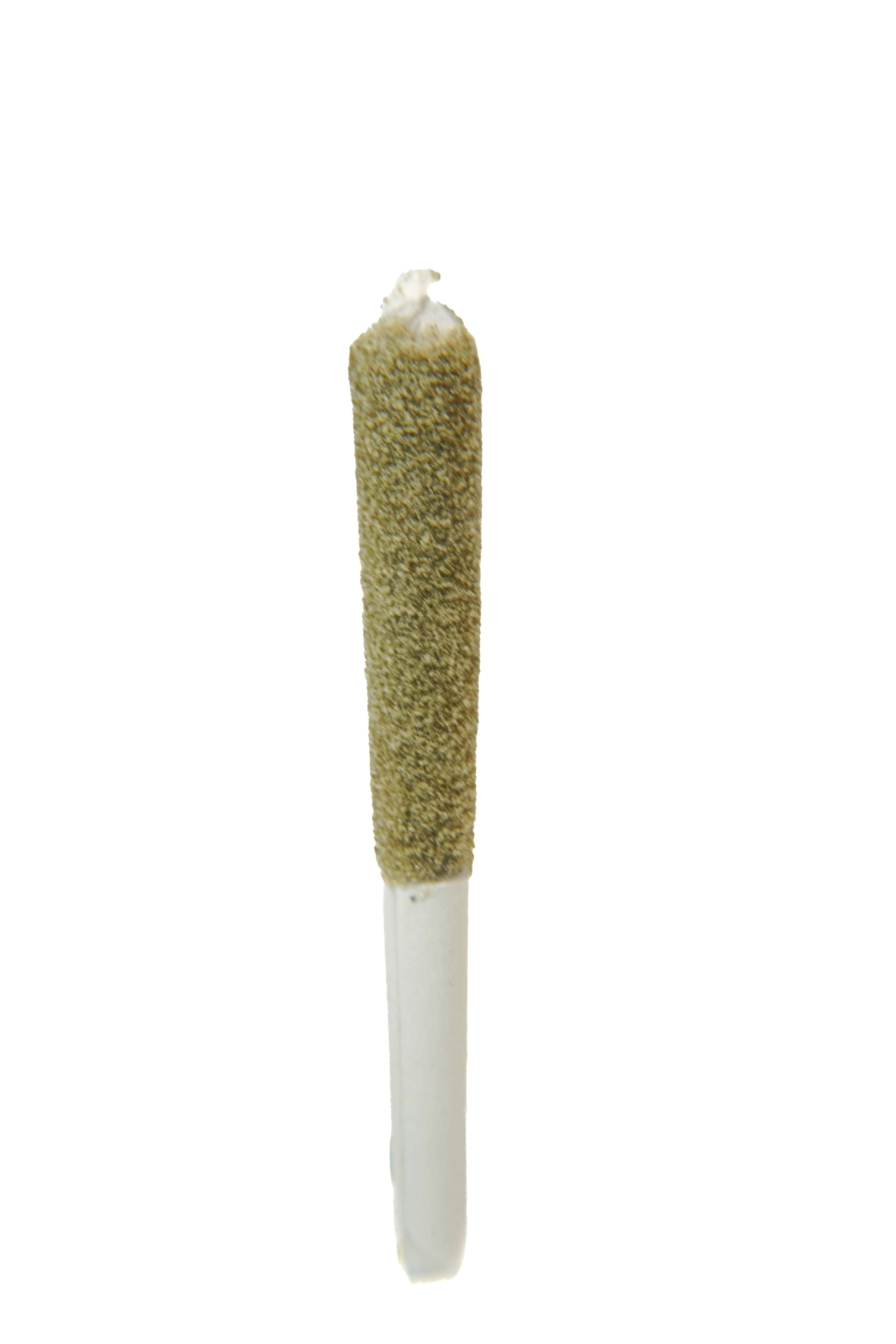 Photograph of product: Halo Oui'd Infused Preroll 1g - Watermelon Rntz