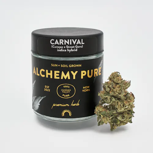 Photograph of product: Alchemy Pure | Carnival | Flower | 3.5g