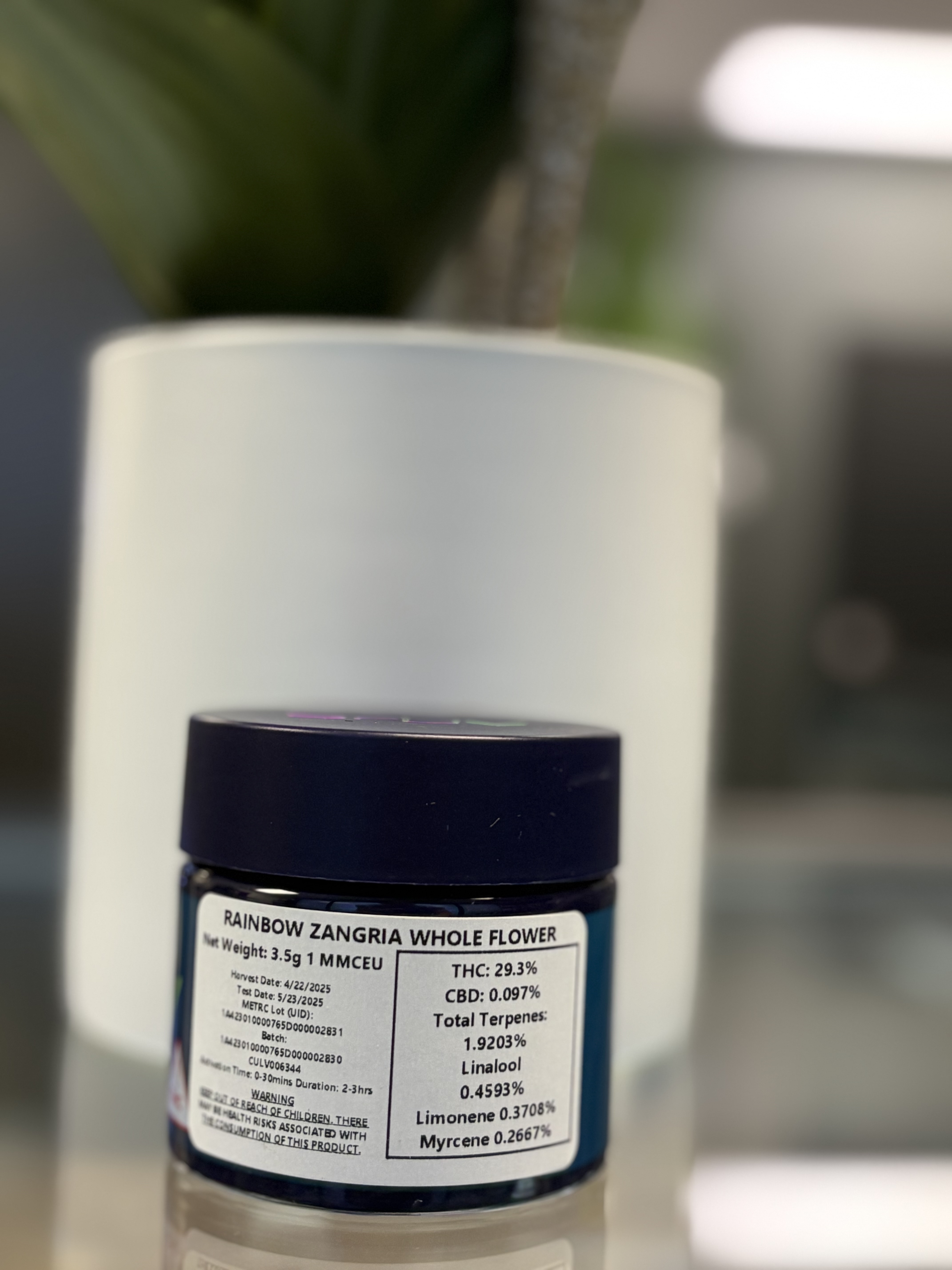 Photograph of product: Gruv | 3.5g | Rainbow Zangria