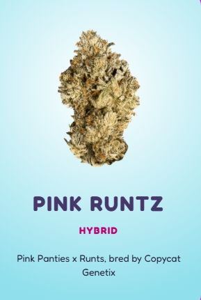Photograph of product: Pink Runtz | Smalls - 7g