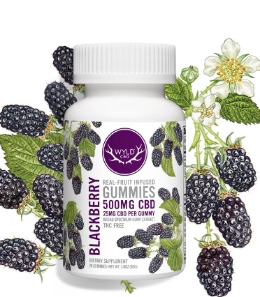 Photograph of product: Non-THC - WYLD - Blackberry CBD gummies - 500mg (20pk)