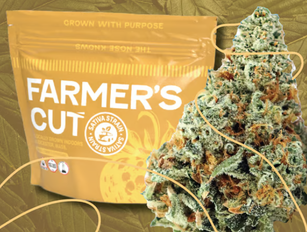 Photograph of product: Gas-O-Lina Flower | 3.5g - Farmer's Cut