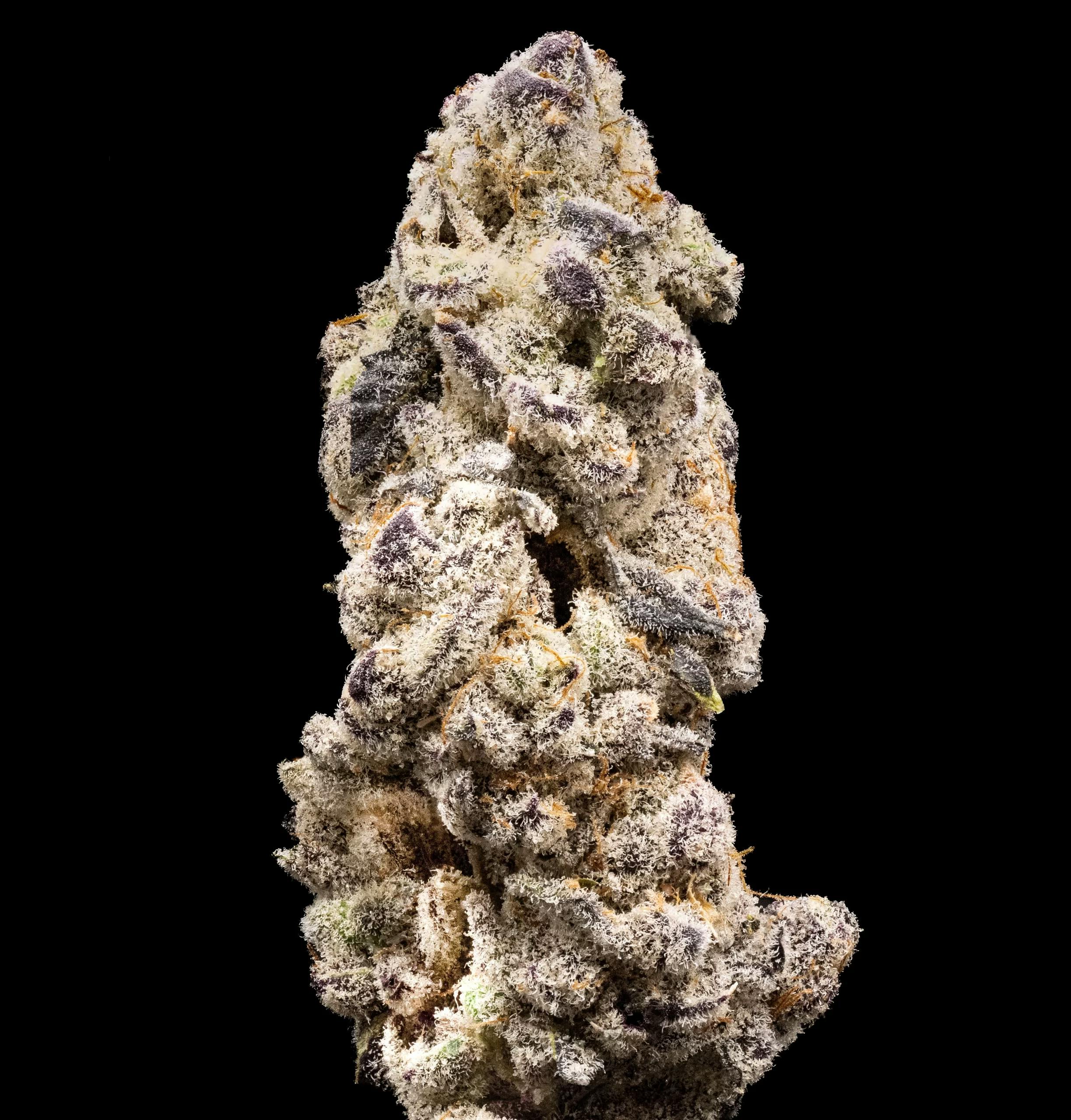 Photograph of product: The Happy Farmer - 3.5g Flower - Kacklesnatch