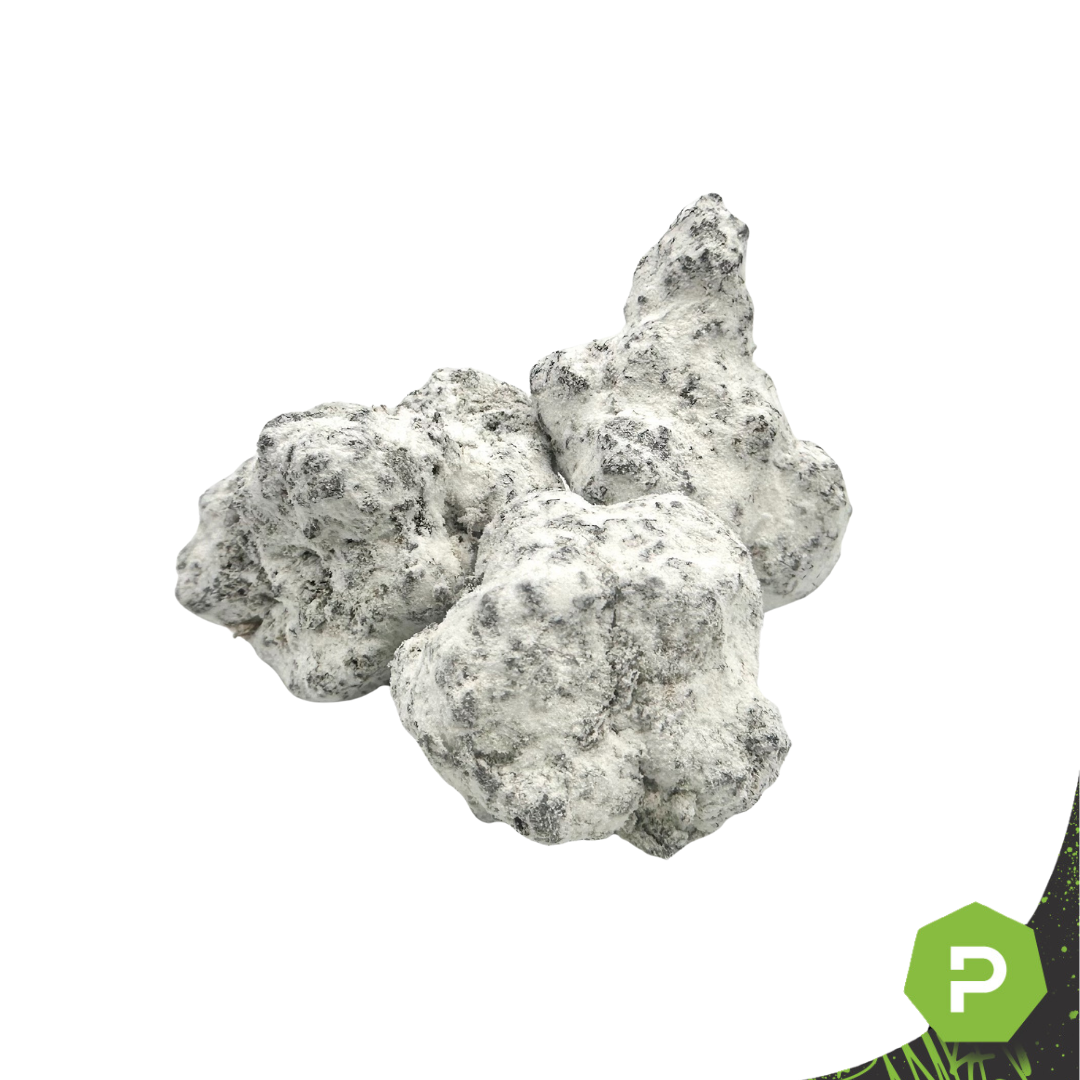 Photograph of product: Fresh Canna | TH-ouiA Snow Caps | Summer Sherbet - 28g