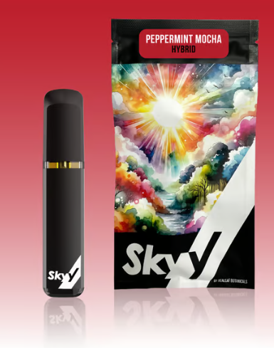 Photograph of product: SKYY PEPPERMINT MOCHA DISPOSABLE 1G