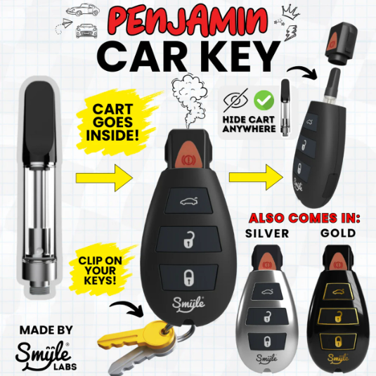 Photograph of product: SMYLE - 510 Battery Car Key