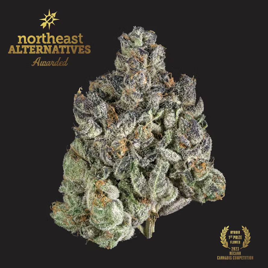 Photograph of product: Kine Garlic Cookies - 3.5g
