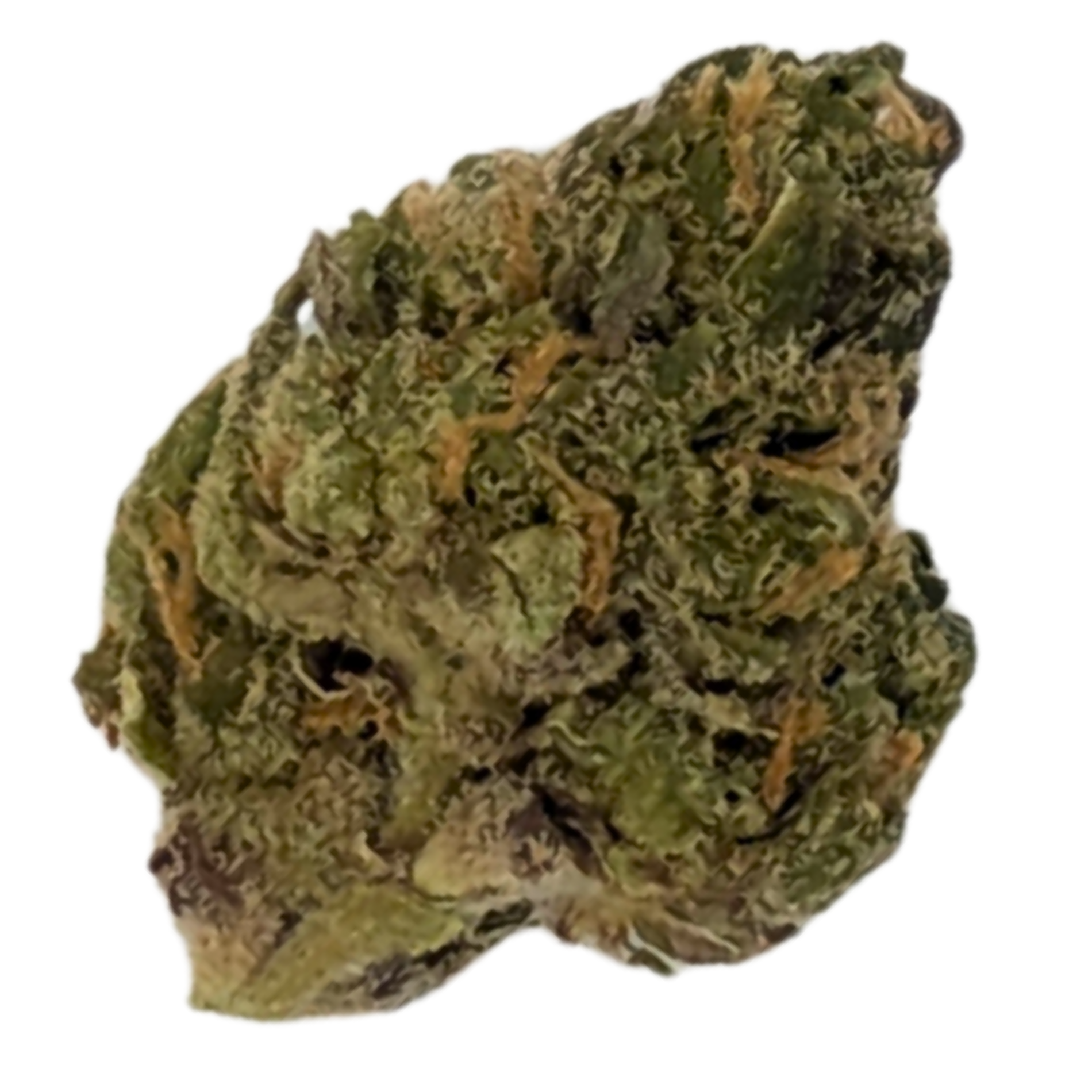 Photograph of product: Cheetah Runtz | 1/8 Indoor Flower | - 3.5g