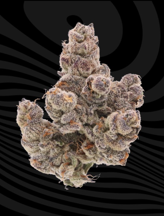 Photograph of product: Sense Piescream - 3.5g