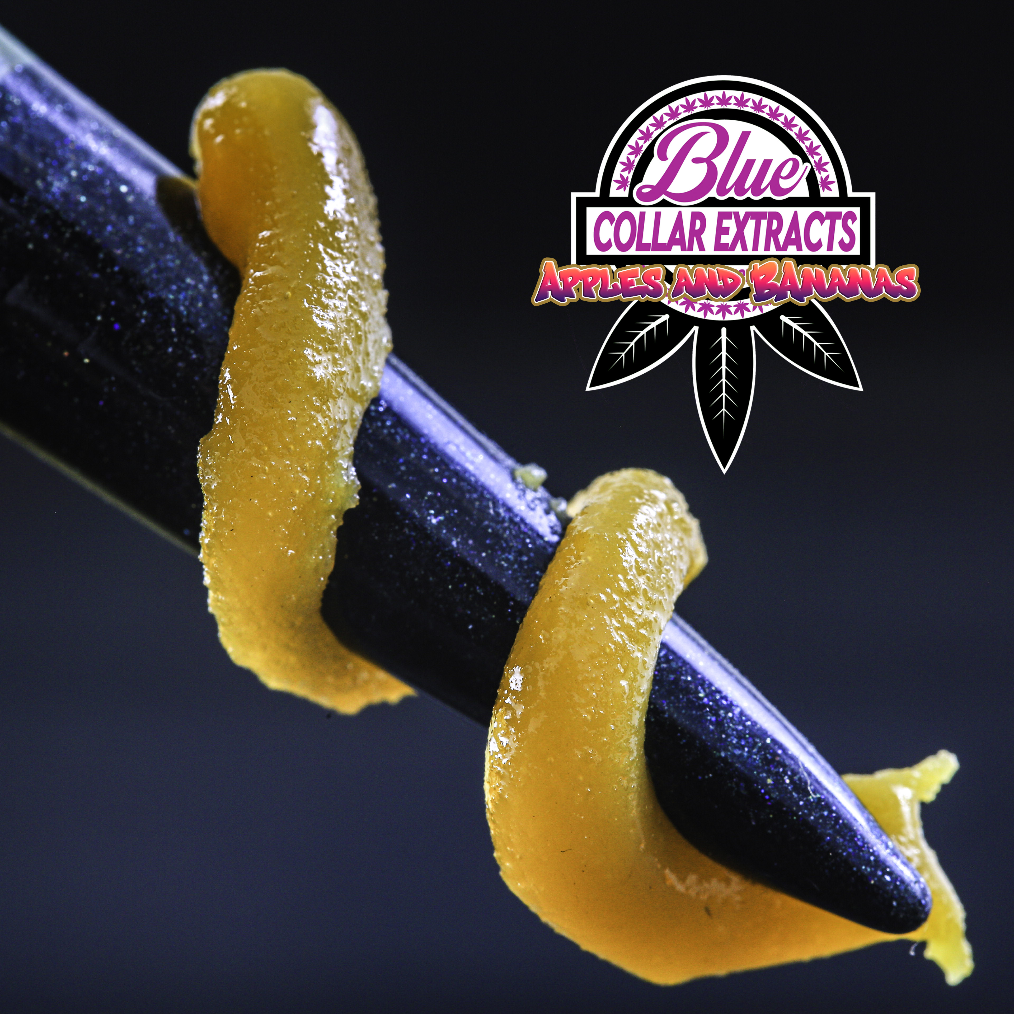 Photograph of product: Apples & Bananas Cured Resin | 1g