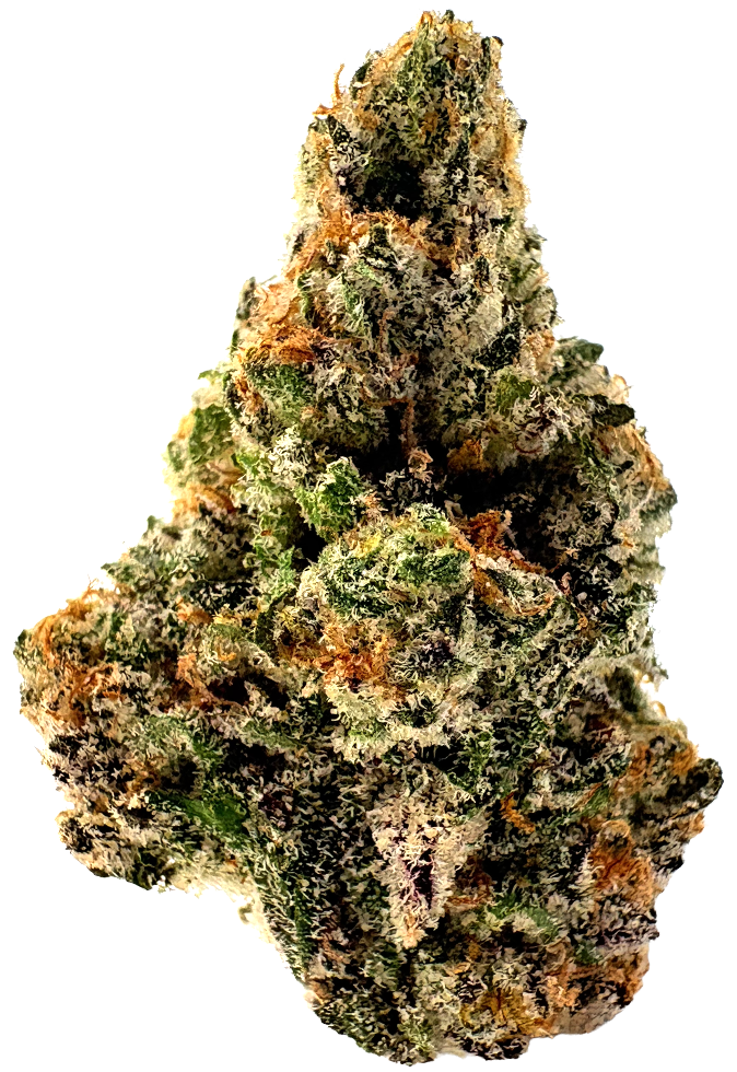 Photograph of product: Connected | Ambrozia | 3.5G