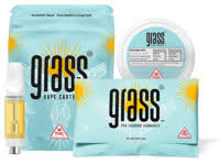 Photograph of product: Fresh Mint Disposable 1g/1000mg