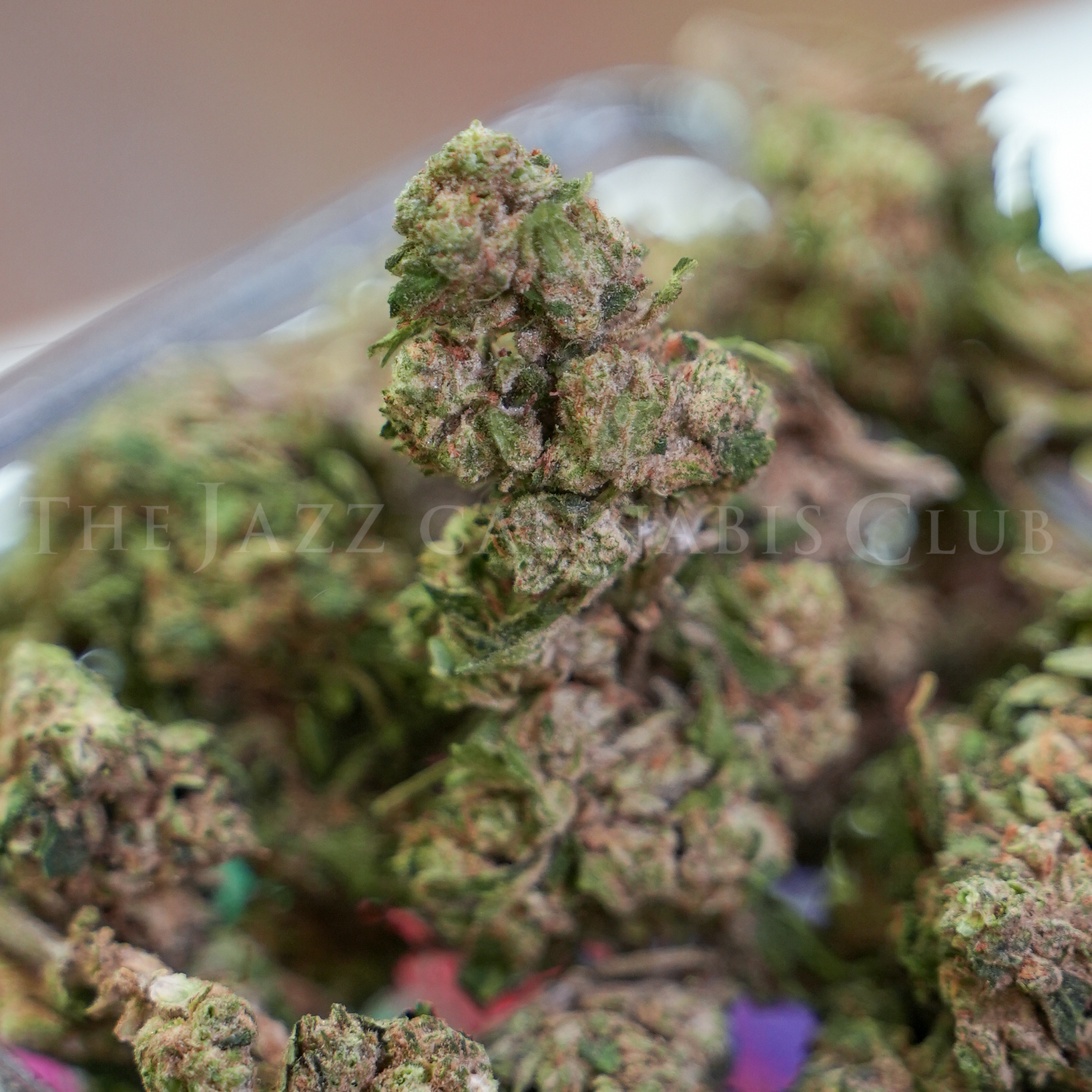 Photograph of product: Kelly Kaposki - Bulk Flower - 28g