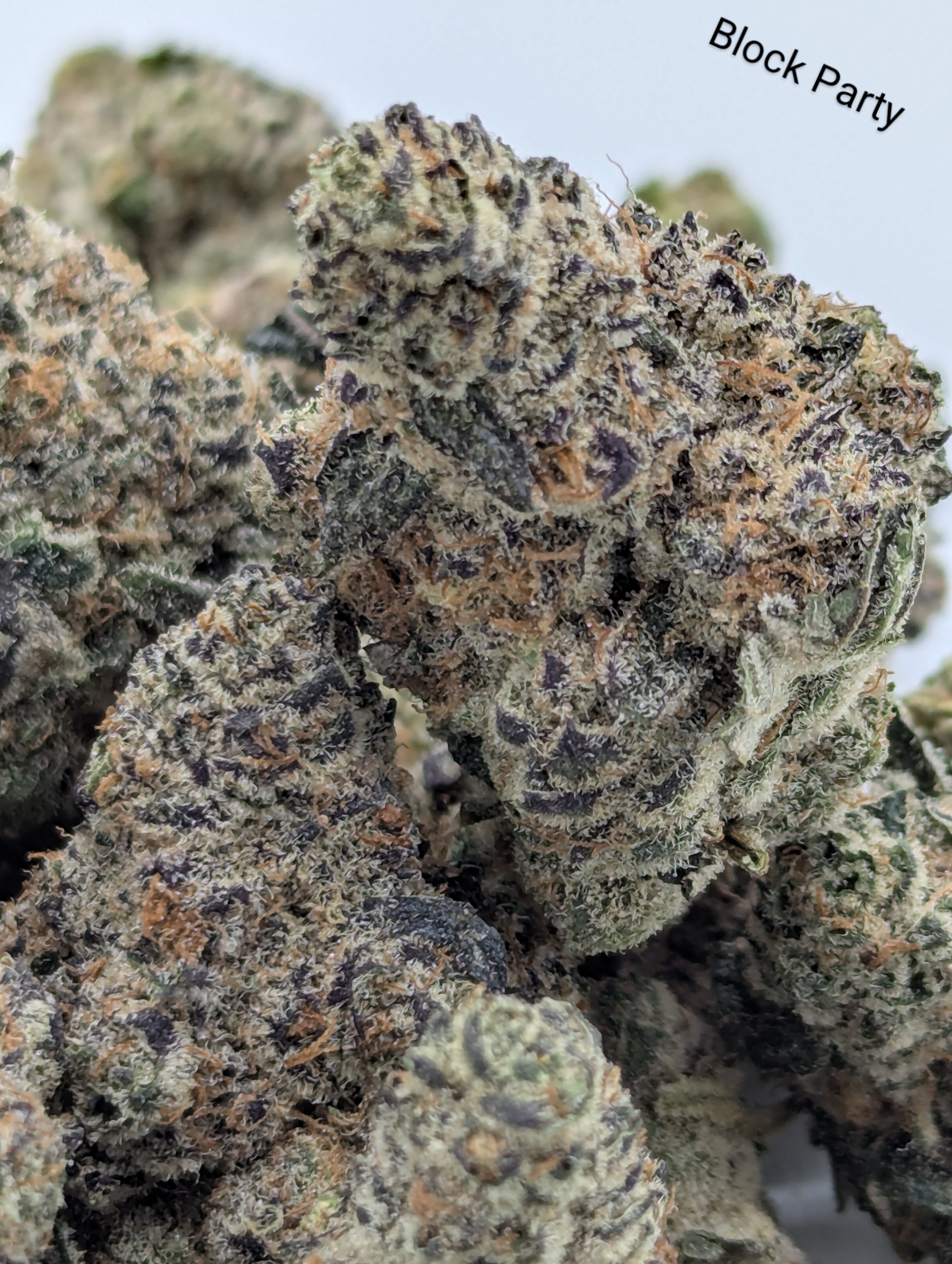 Photograph of product: Block Party - 28g