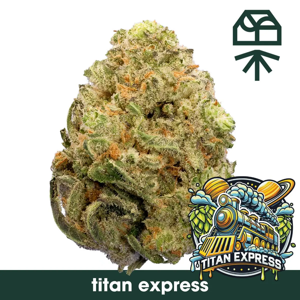 Photograph of product: Grassroots - Titan Express 3.5g Flower