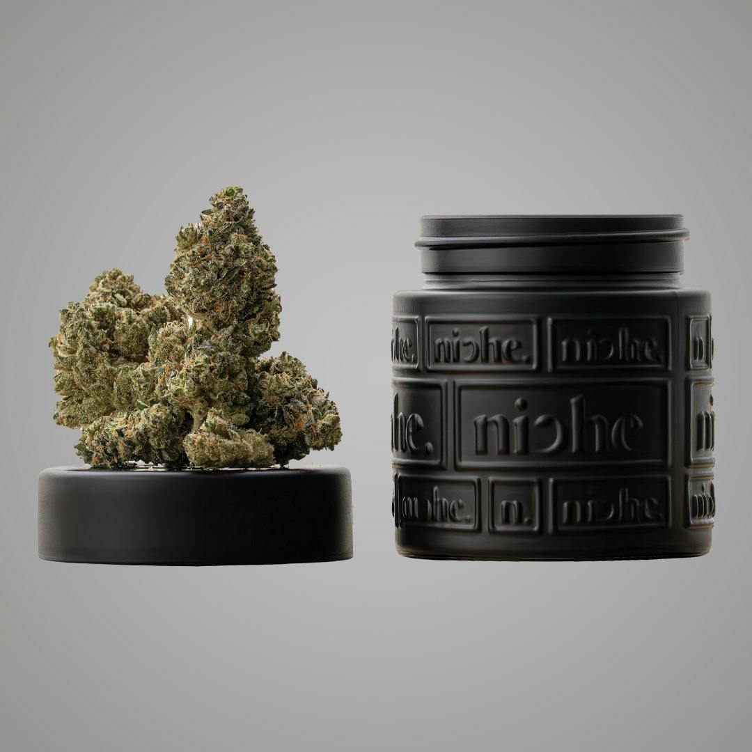 Photograph of product: GUMBO 3.5G FLOWER