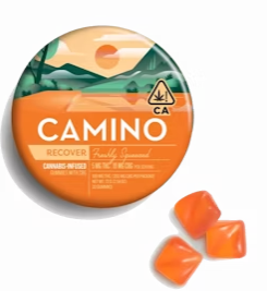 Photograph of product: Camino | 100mg Recover Gummies | Freshly Squeezed