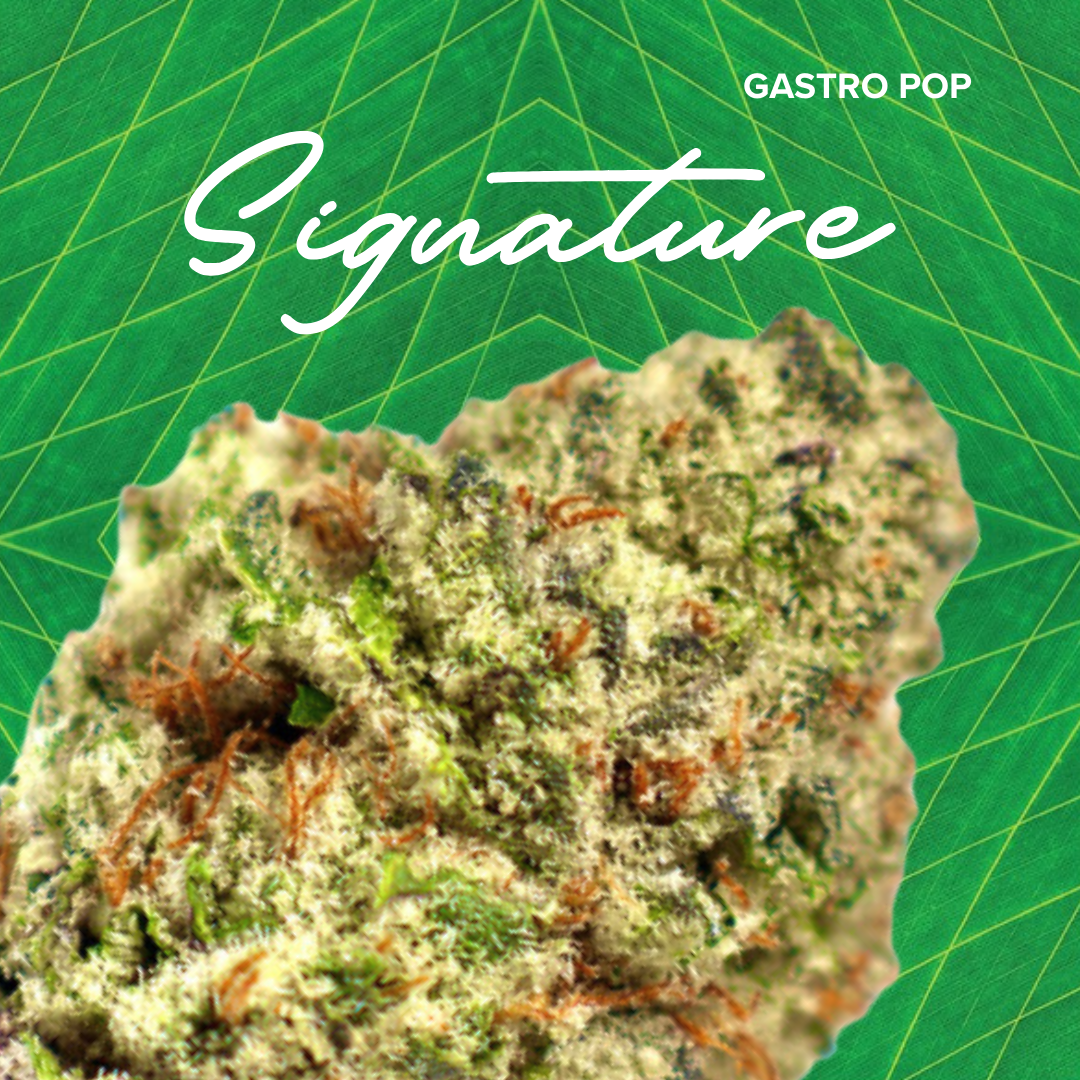 Photograph of product: Signature 3.5g Gastro Pop