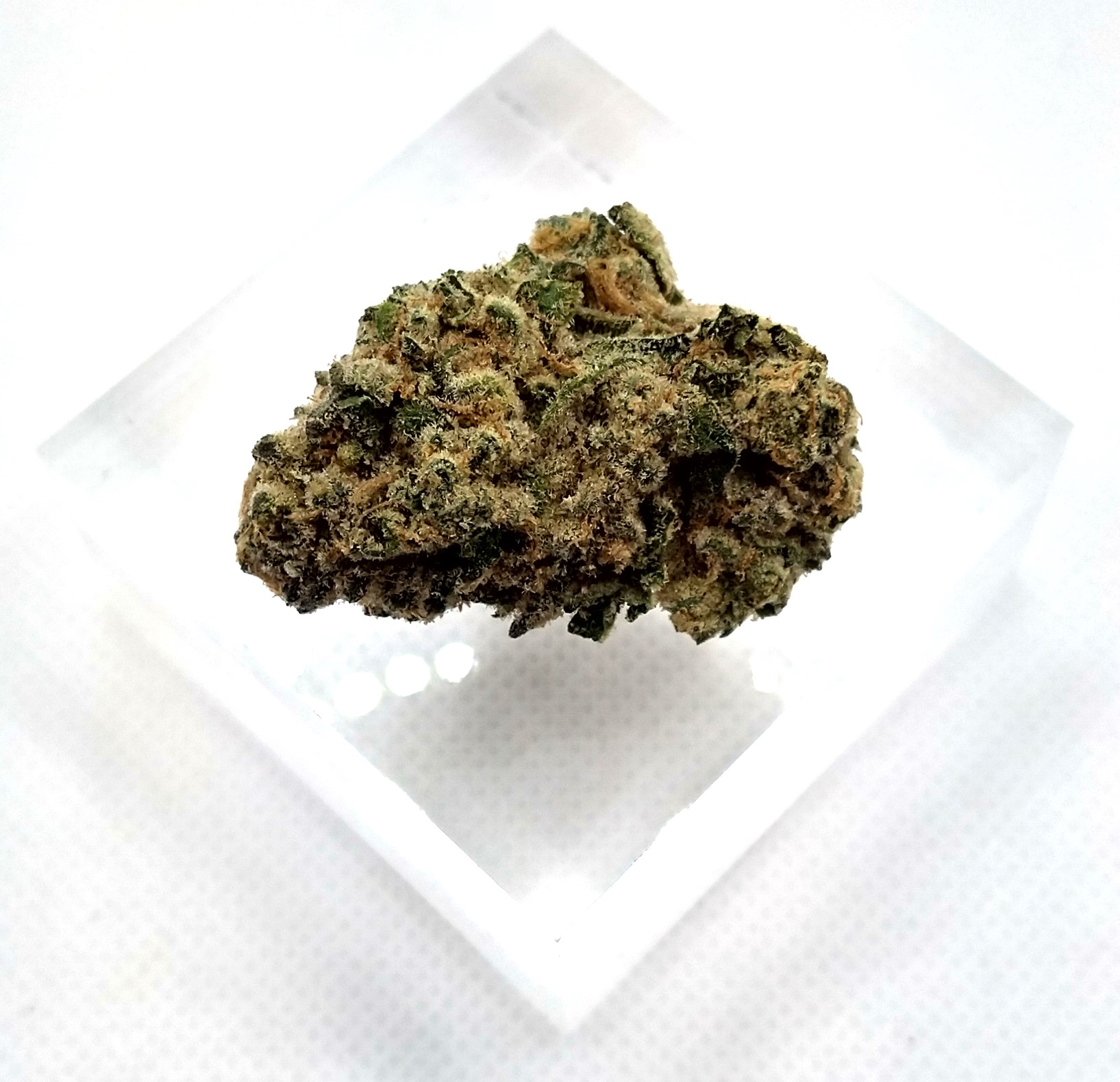 Photograph of product: Harbor Farmz | LA Kush Cake | Oui'd |  Bulk Flower | Bees Knees - 1g
