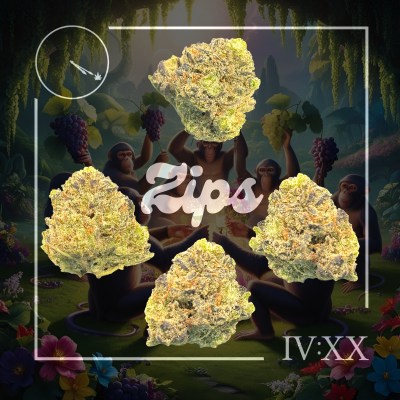 Photograph of product: Planet of the Grapes Flower | 28g - Four20