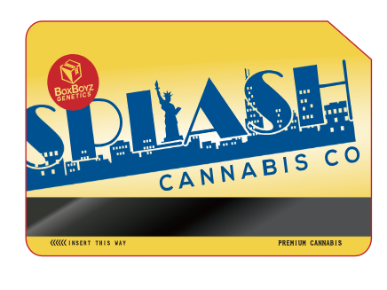 Photograph of product: Vanilla Spritz | Infused Pre-Rolls | 2-Pack