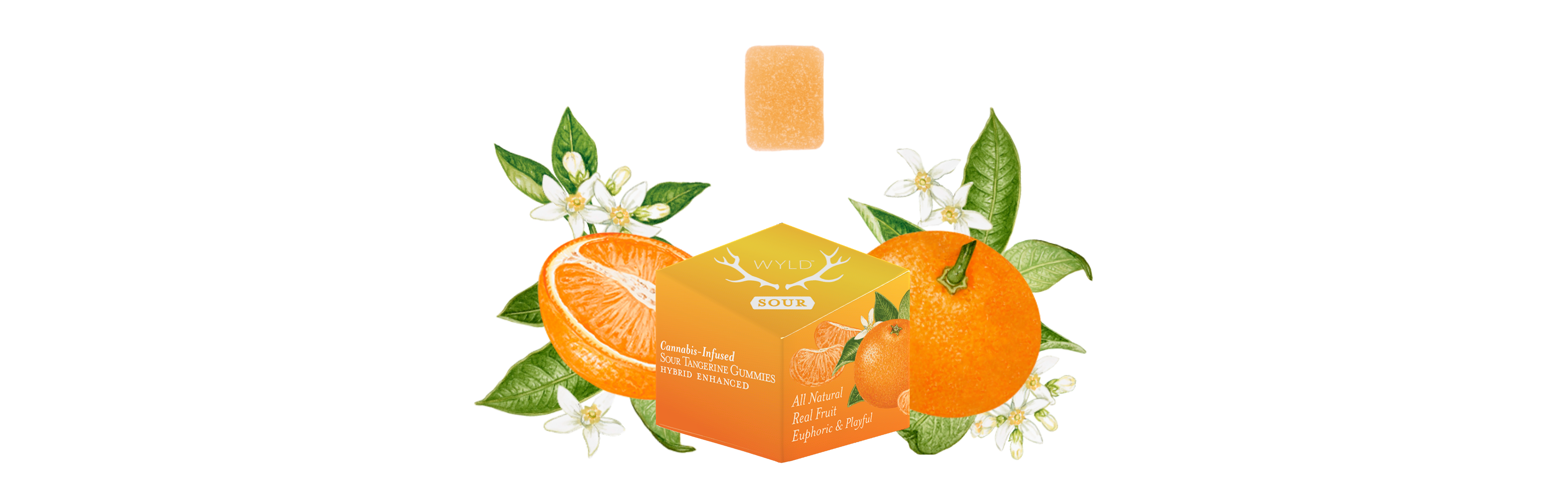 Photograph of product: WYLD - Gummies - Sour Tangerine Hybrid - 100mg TH-oui