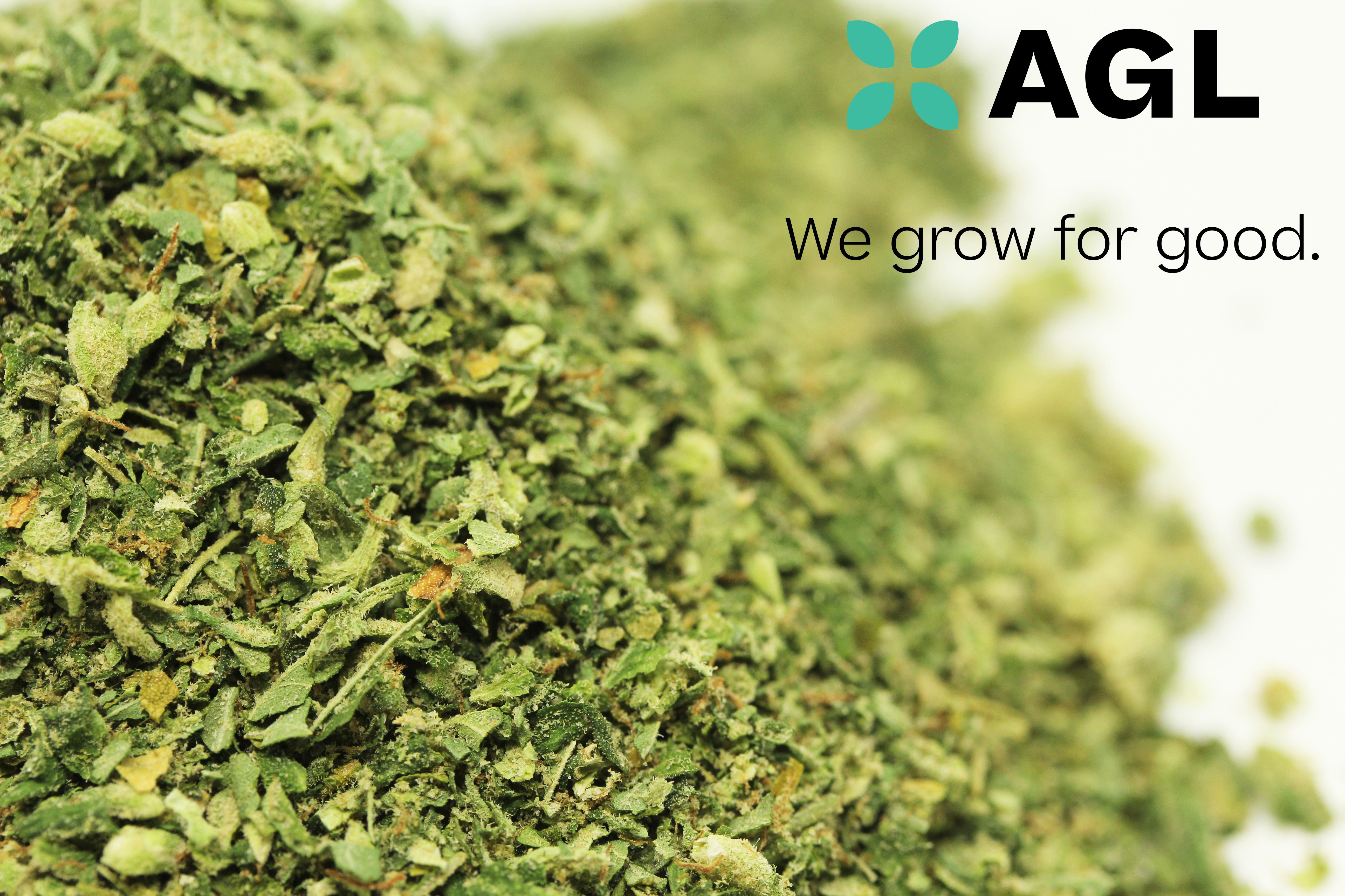 Photograph of product: AGL Animal Face Select Grind Flower 27.60% (I) 7g - 00878