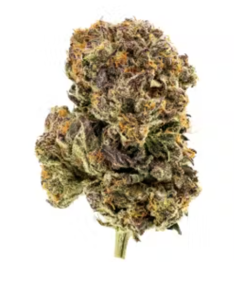 Photograph of product: Gelato Cake | 3.5g