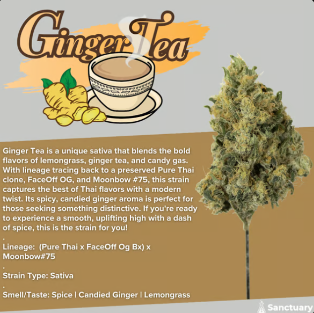 Photograph of product: Ginger Tea - Buds 3.5g