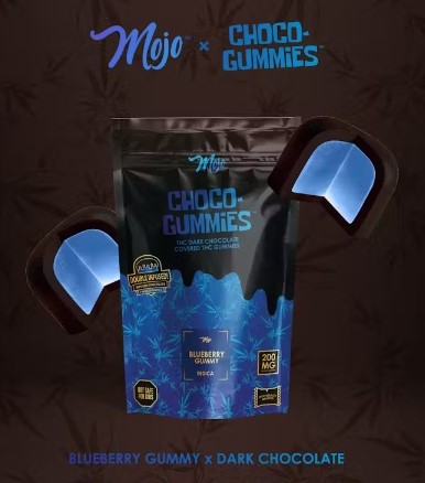 Photograph of product: Dark Chocolate Covered Blueberry Gummies | Mojo Chocolates | 200mg