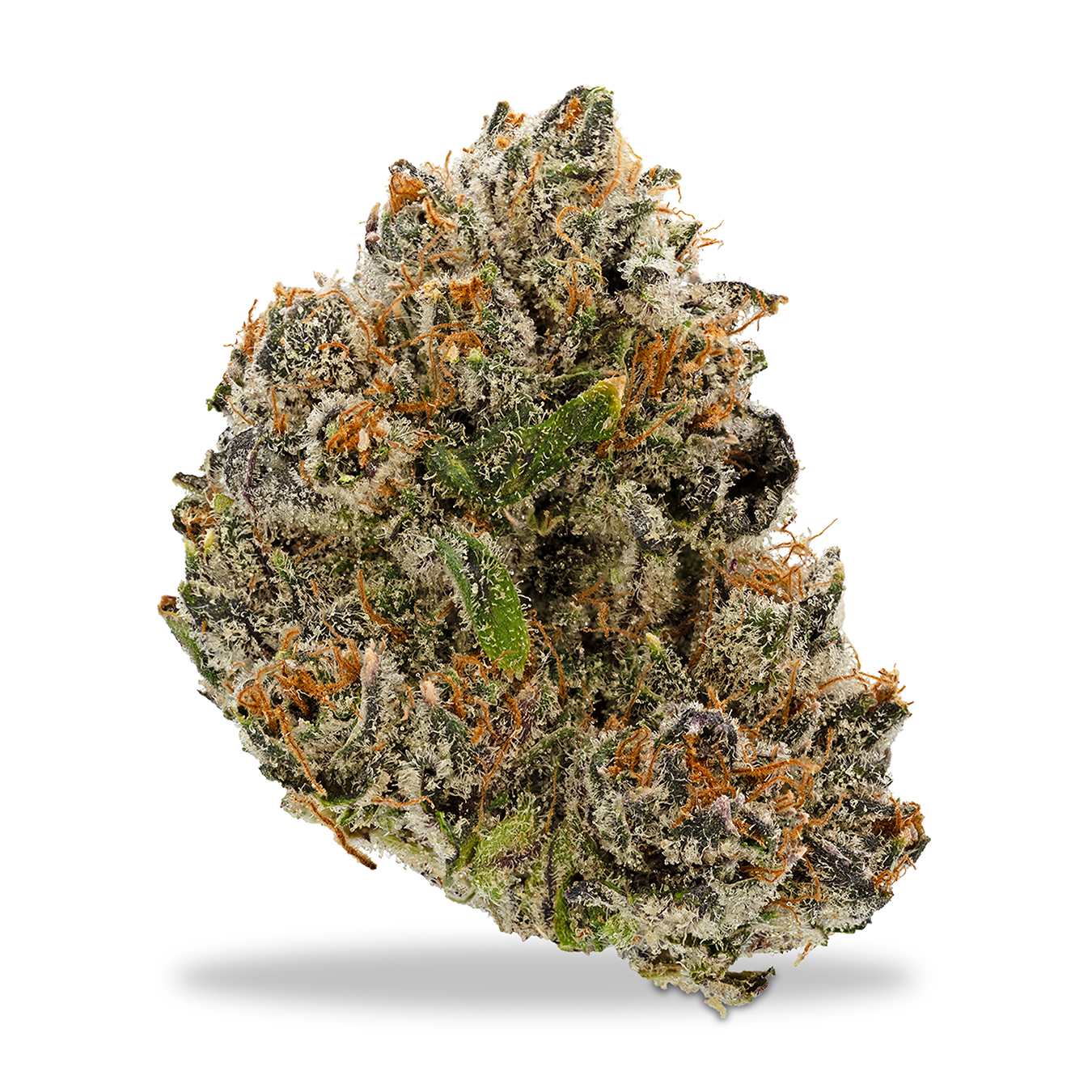 Photograph of product: Eastwood - Zashimi - 2g