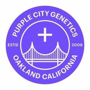 Photograph of Product: Purple City Genetics - Lady Pink Clone