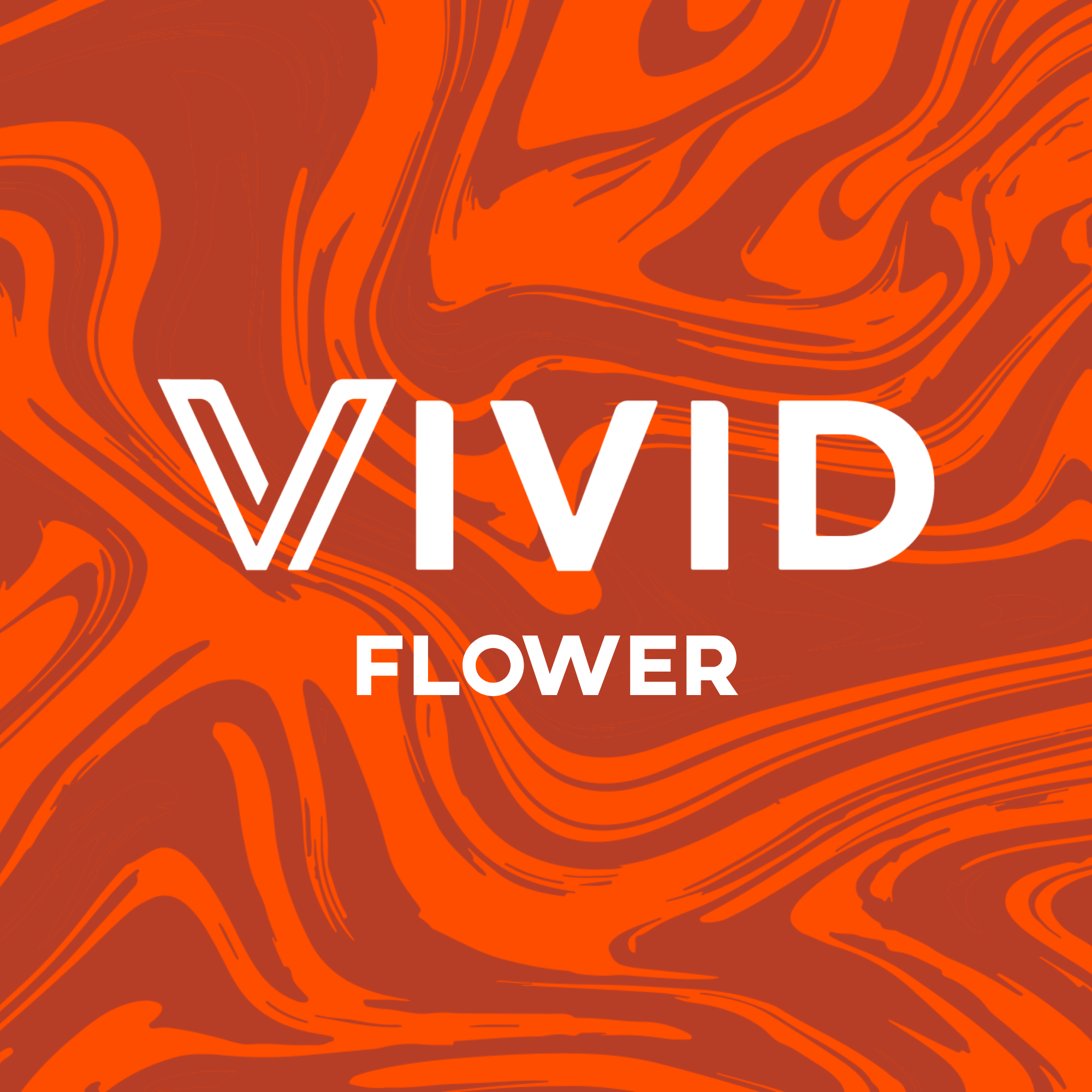 Photograph of product: Vivid - NEW DROP - Florida Mintz #3 - Deli Flower - 28g