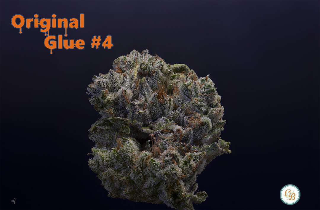 Photograph of product: Original Glue #4 -Hybrid - 28g