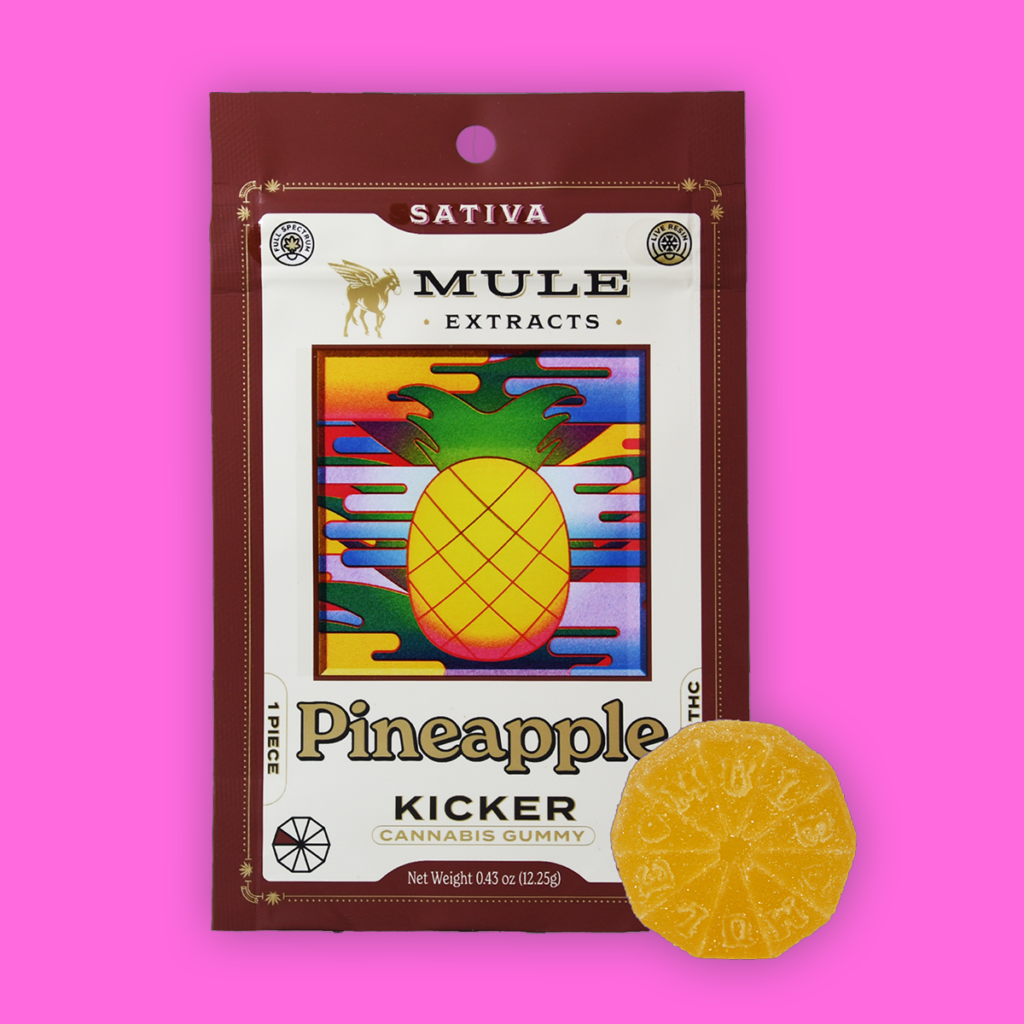 Photograph of product: Pineapple ~ 2pack