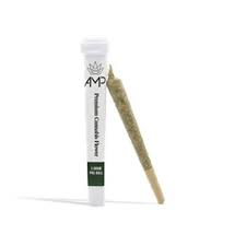 Photograph of product: AMP | 1g Preroll | Turbo Diesel