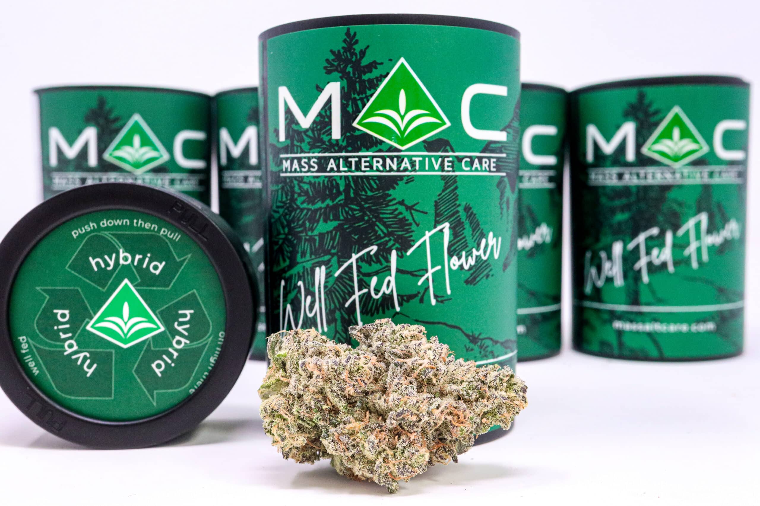 Photograph of product: LA Beatnik | 3.5g