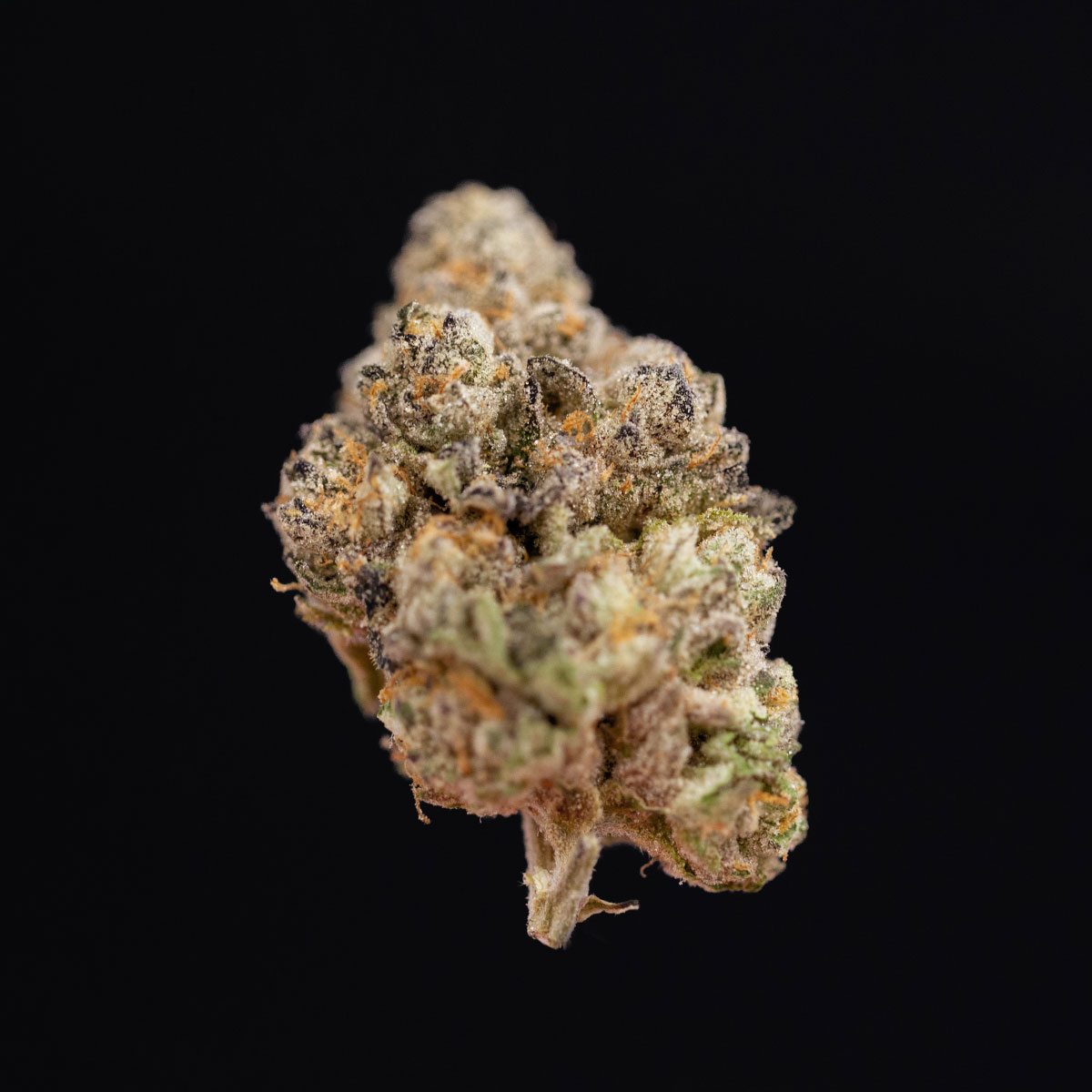 Photograph of product: Curaleaf Whole Flower 3.5g White Hot Guava (H) 00713