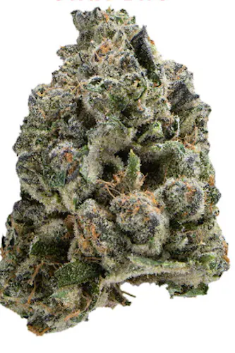 Photograph of product: Voyage Bloom Kimber Slice Prepack Rec - 3.5g