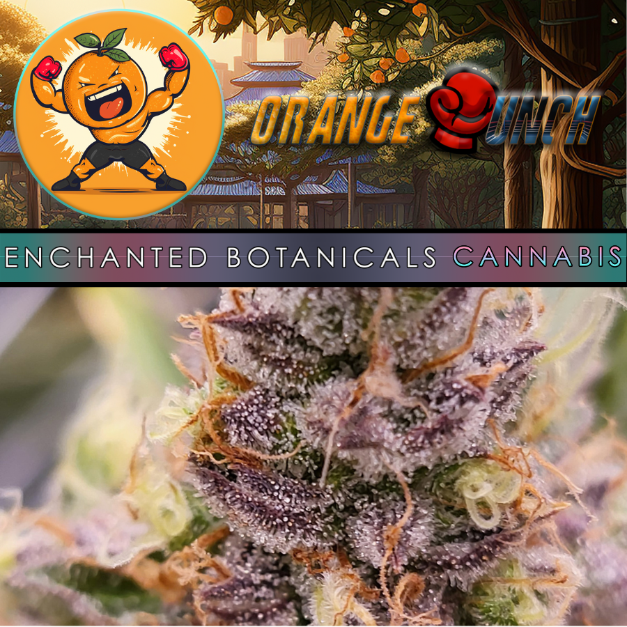 Photograph of product: Flower - Orange Punch - Oui'd - 28g