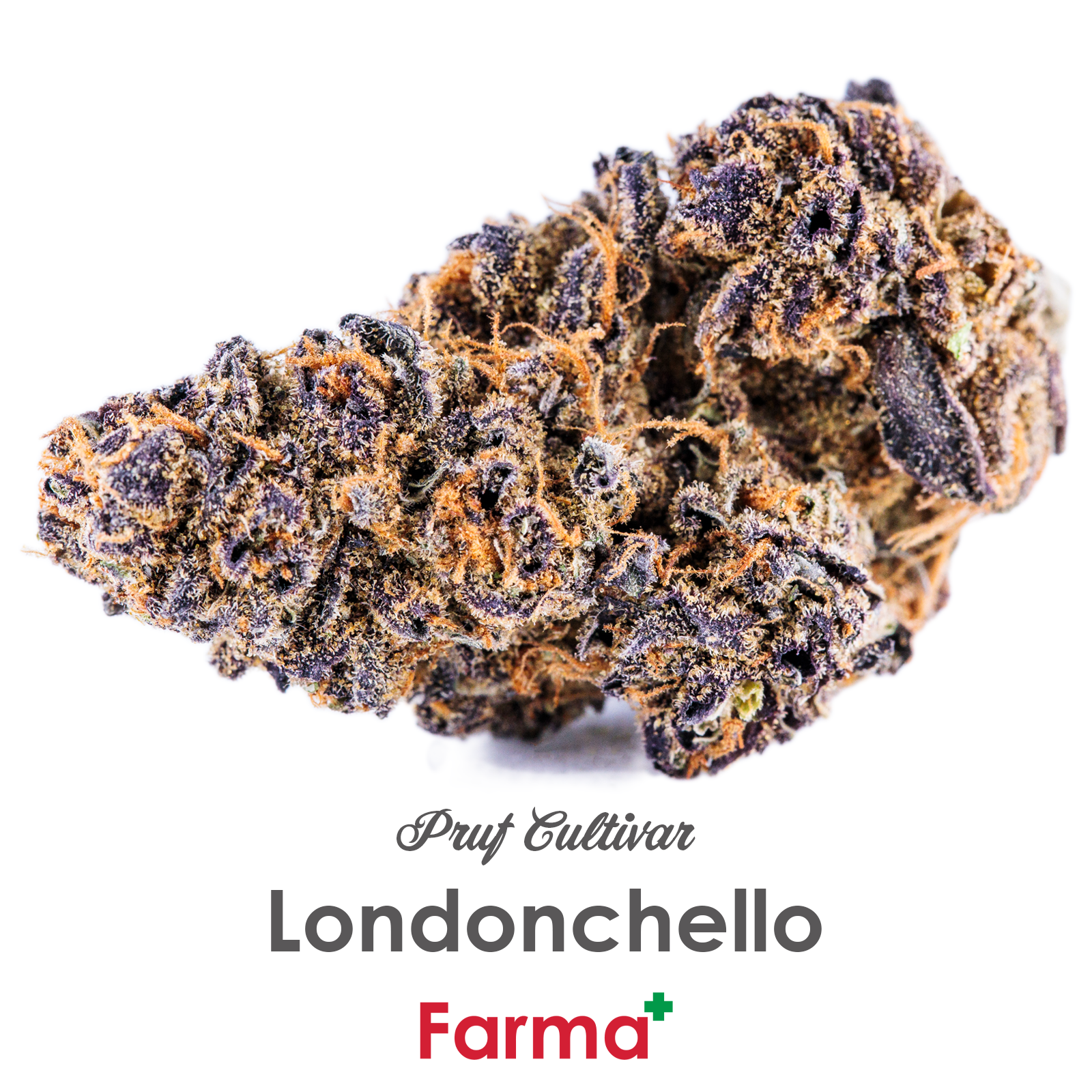 Photograph of product: Pruf Cultivar Londonchello - 14g