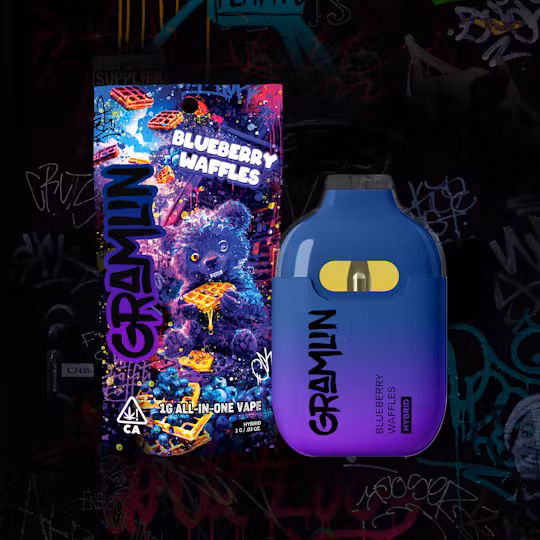 Photograph of product: Blueberry Waffles All In One [H]