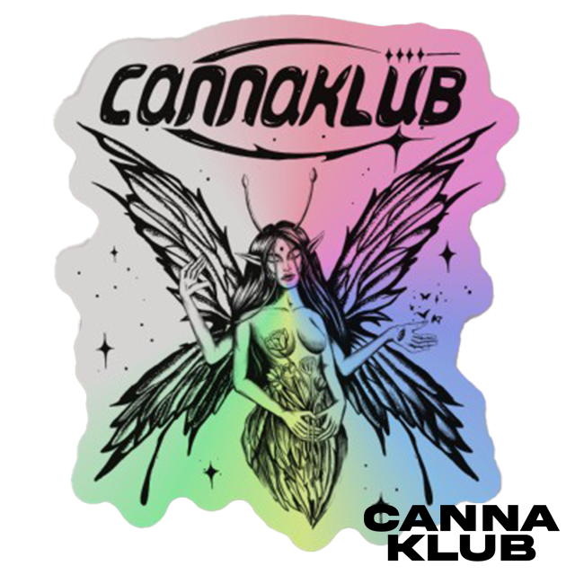 Photograph of product: HOLOGRAPHIC FAIRY STICKER